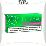 IQOS TEREA GREEN INDONESIA IN DUBAI