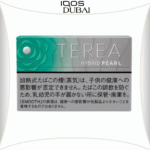Best Iqos Terea Hybrid Pearl Smooth Mint Japan in Dubai