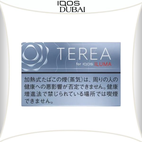 TEREA Balanced Regular for IQOS ILUMA Dubai UAE