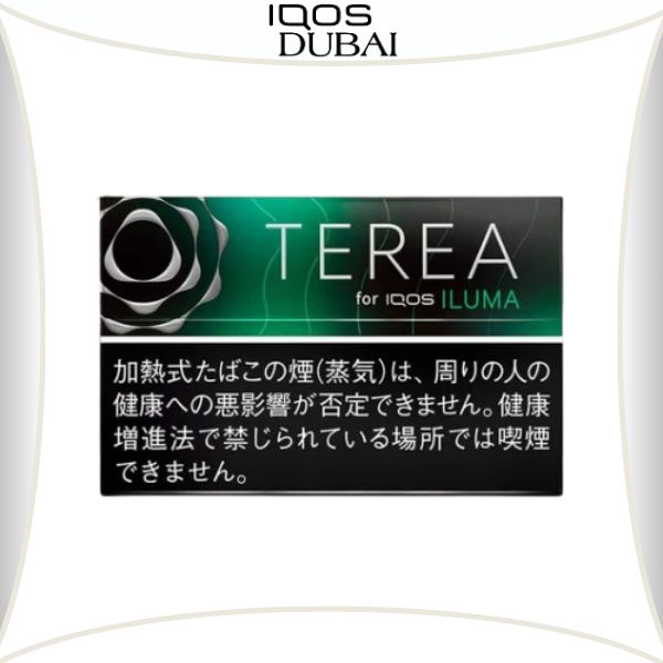 TEREA Black Menthol for IQOS ILUMA Dubai UAE