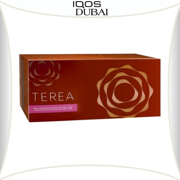 IQOS TEREA Bronze KAZAKHSTAN | BEST IN DUBAI UAE