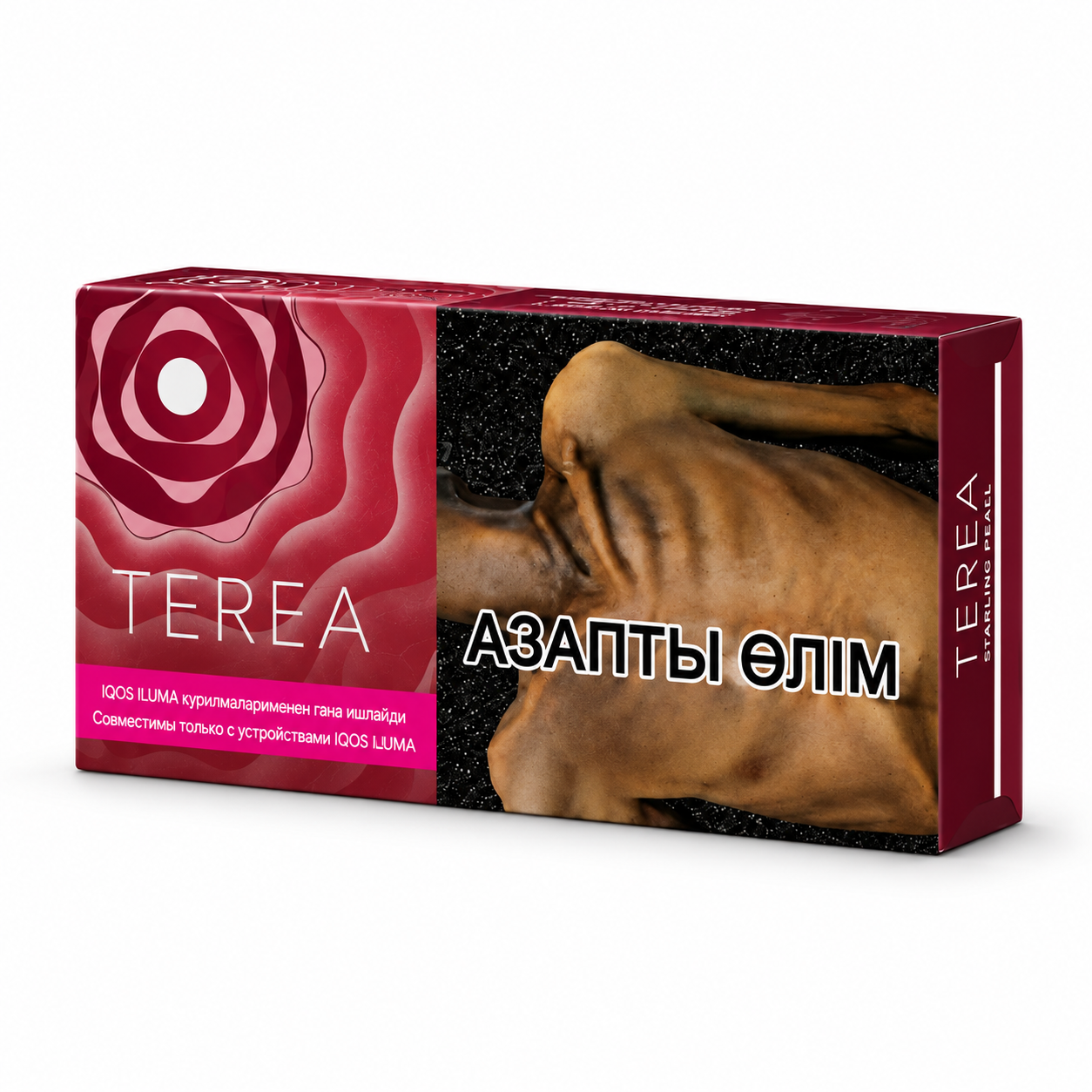 terea-starling-pearl-uzbekistan TEREA Starling Pearl Uzbekistan heated tobacco pack for IQOS ILUMA